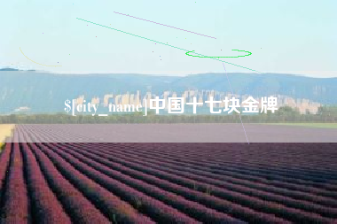 宣威中国十七块金牌