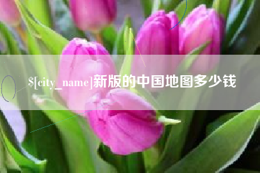 宣威新版的中国地图多少钱
