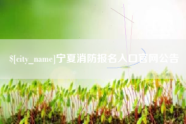 宣威宁夏消防报名入口官网公告
