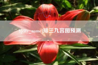 宣威排三九宫图预测