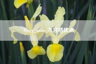 宣威九宫格优点