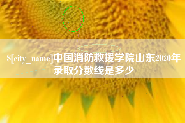 宣威中国消防救援学院山东2020年录取分数线是多少