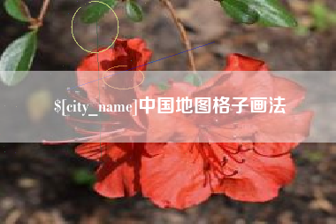 宣威中国地图格子画法