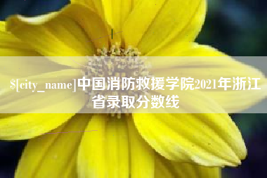 宣威中国消防救援学院2021年浙江省录取分数线