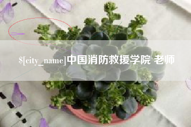 宣威中国消防救援学院 老师