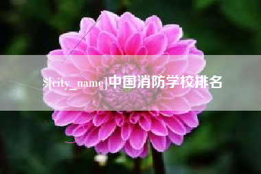 宣威中国消防学校排名
