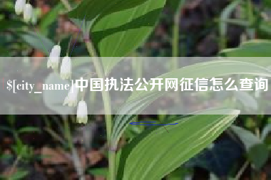 宣威中国执法公开网征信怎么查询