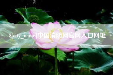 宣威中国消防网官网入口网址