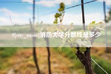宣威消防大学分数线是多少