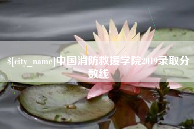 宣威中国消防救援学院2019录取分数线