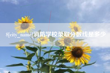 宣威消防学校录取分数线是多少