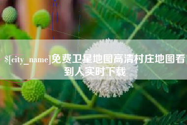 宣威免费卫星地图高清村庄地图看到人实时下载