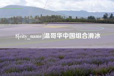 宣威温哥华中国组合滑冰