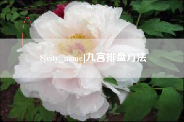 宣威九宫排盘方法