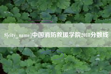 宣威中国消防救援学院2018分数线