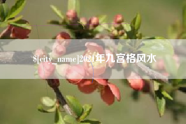 宣威2021年九宫格风水