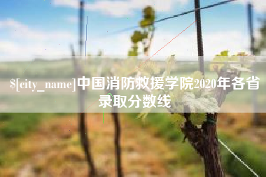宣威中国消防救援学院2020年各省录取分数线