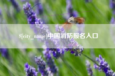 宣威中国消防报名入口