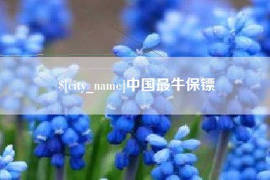 宣威中国最牛保镖