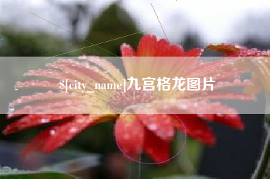宣威九宫格龙图片