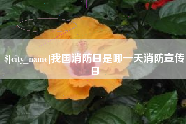 宣威我国消防日是哪一天消防宣传日