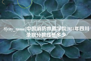 宣威中国消防救援学院2021年四川录取分数线是多少