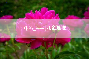 宣威九金是谁
