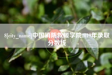 宣威中国消防救援学院2019年录取分数线