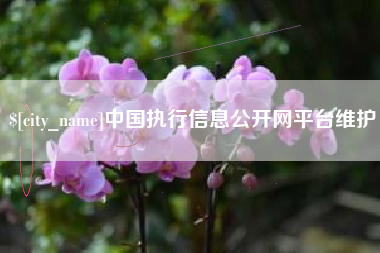 宣威中国执行信息公开网平台维护