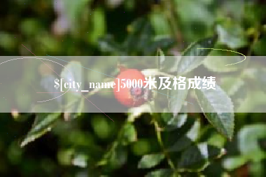 宣威5000米及格成绩