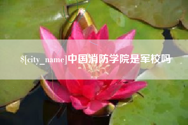 宣威中国消防学院是军校吗