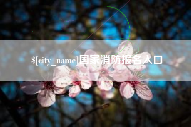 宣威国家消防报名入口