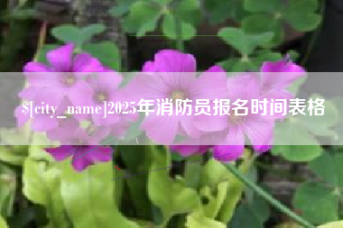 宣威2025年消防员报名时间表格