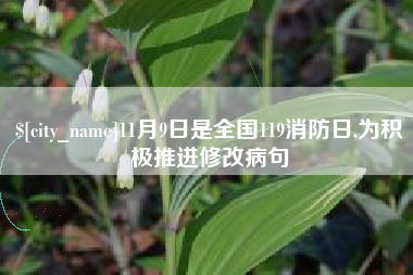 宣威11月9日是全国119消防日,为积极推进修改病句