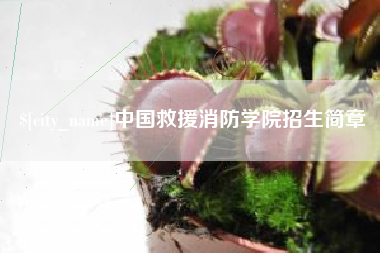 宣威中国救援消防学院招生简章