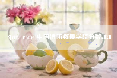 宣威中国消防救援学院分数2020