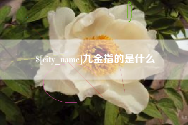 宣威九金指的是什么