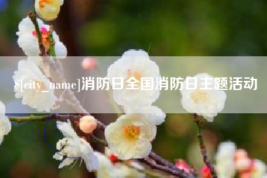 宣威消防日全国消防日主题活动