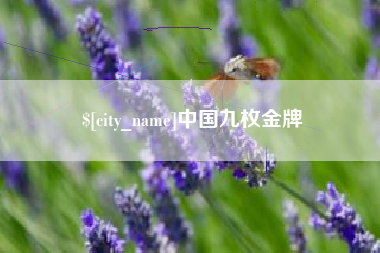 宣威中国九枚金牌