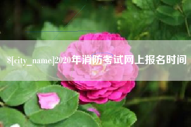 宣威2020年消防考试网上报名时间