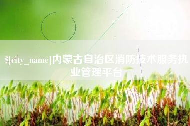 宣威内蒙古自治区消防技术服务执业管理平台