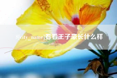宣威看看王子豪长什么样