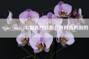 宣威中国执行信息公开网真的假的