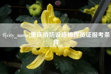宣威重庆消防设施操作员证报考条件