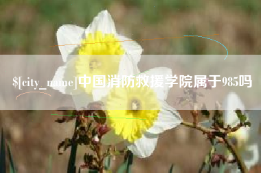 宣威中国消防救援学院属于985吗