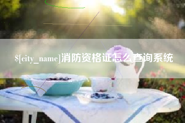 宣威消防资格证怎么查询系统