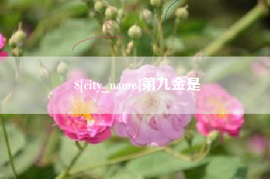 宣威第九金是