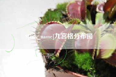 宣威九宫格分布图