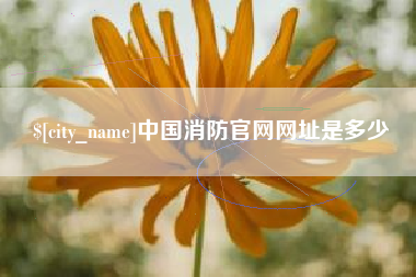 宣威中国消防官网网址是多少