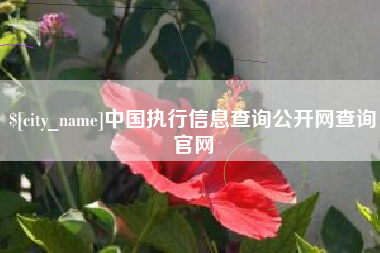 宣威中国执行信息查询公开网查询官网